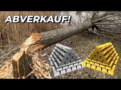 Gold/Silber - Der Baum fällt! Abverkauf in vollem Gange!