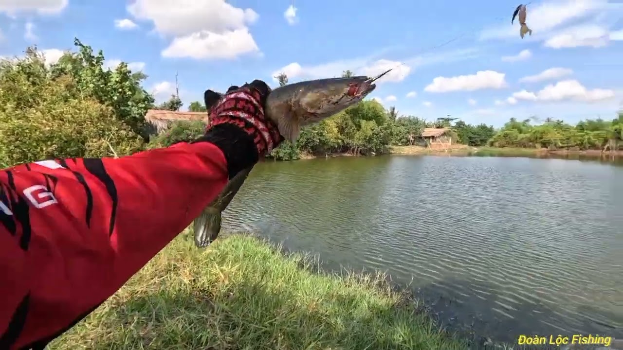 Câu Ngầm - Trở Lại Hầm Bờ Mộ Sau 2 Năm