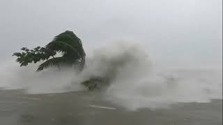 Super Typhoon Uwan (Fung-wong) Unleashes Massive Storm Surge in the Philippines screenshot 4
