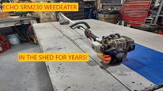 Echo SRM230 Weedeater | Stored For Years!