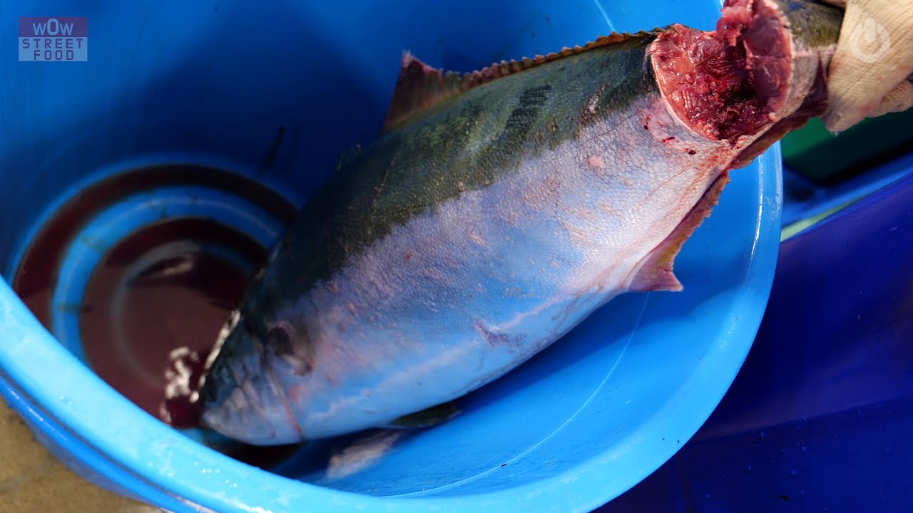 대방어를 숙성시키는 비법과 수율까지 공개하시는 사장님 감사합니다./ 대방어 숙성모듬회ブリ Amberjack Cutting, sashimi / Korean street food