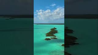 The Chalk Nature's colour pallet and a much see when visiting the Turks and Caicos.