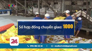 Nhìn lại kết quả và hạn chế sau hơn 30 năm thu hút đầu tư | VTV24
