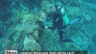 Kepulauan Togean Miliki Harta Karun Bawah Laut Yang Tak Kalah Dari Bunaken  Inews Pagi 2905