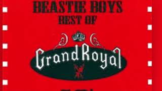 Beastie Boys-Hey Ladies ( BS 2000 Remix )