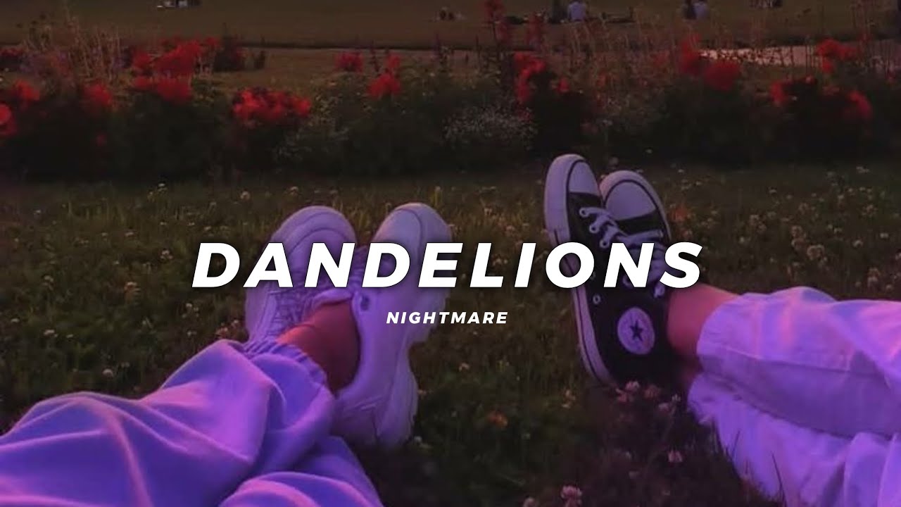 Dandelion Slowed reverb Nightmare