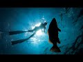 SPEARFISHING Offshore Reefs for SNAPPER and GROUPER