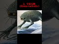 【閲覧注意】ヤバすぎる未来の人間3選 #shorts