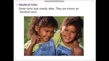 Chapter 2 Class 3rd, Sst : Family Similarities