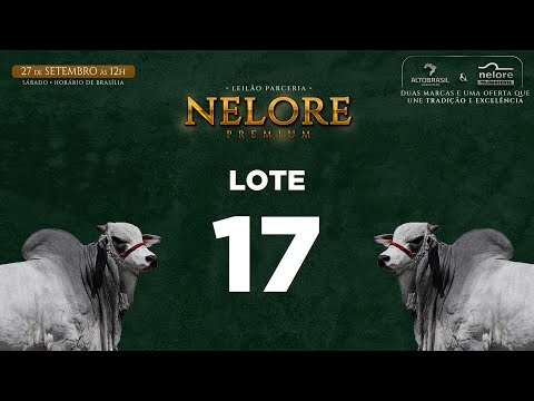 LOTE 17   MNS 13273