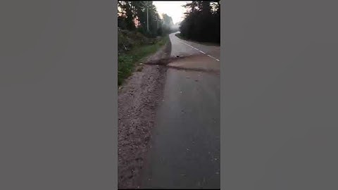 ЭКСКЛЮЗИВ / Уничтожение арсенала  в городе Торопец