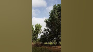 سورة البقرة آية ٦٤