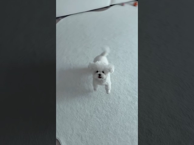 엄마만 보면 너무 씬나