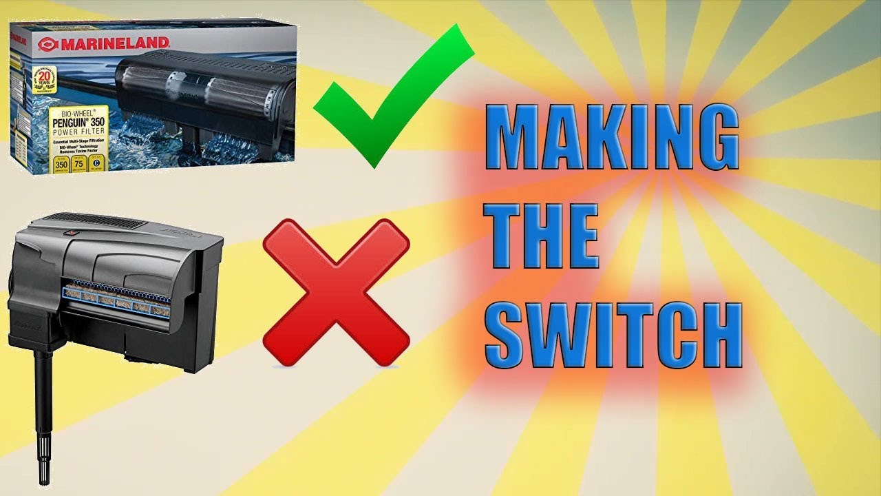 Photo inspiration: Hang On Back Filter Zero Dead Space Tips Reference: How To Properly Swap Hang On Back Filters 2019