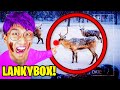 7 YouTubers Who CAUGHT Rudolph The Rednosed Reindeer On CAMERA! (LankyBox, Unspeakable, Preston)
