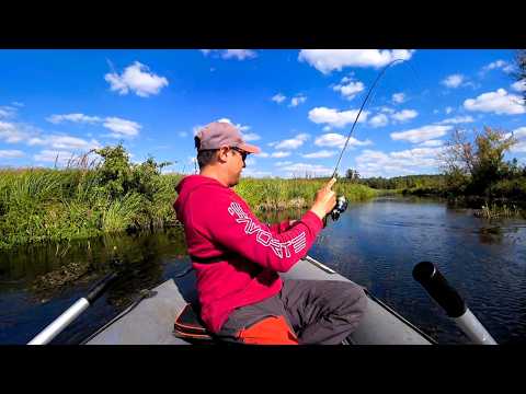 Feeding Frenzy of Large Chub on a Spinning Rod! Incredible Bites in Autumn