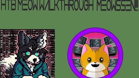 HTB Meow Walkthrough CTF