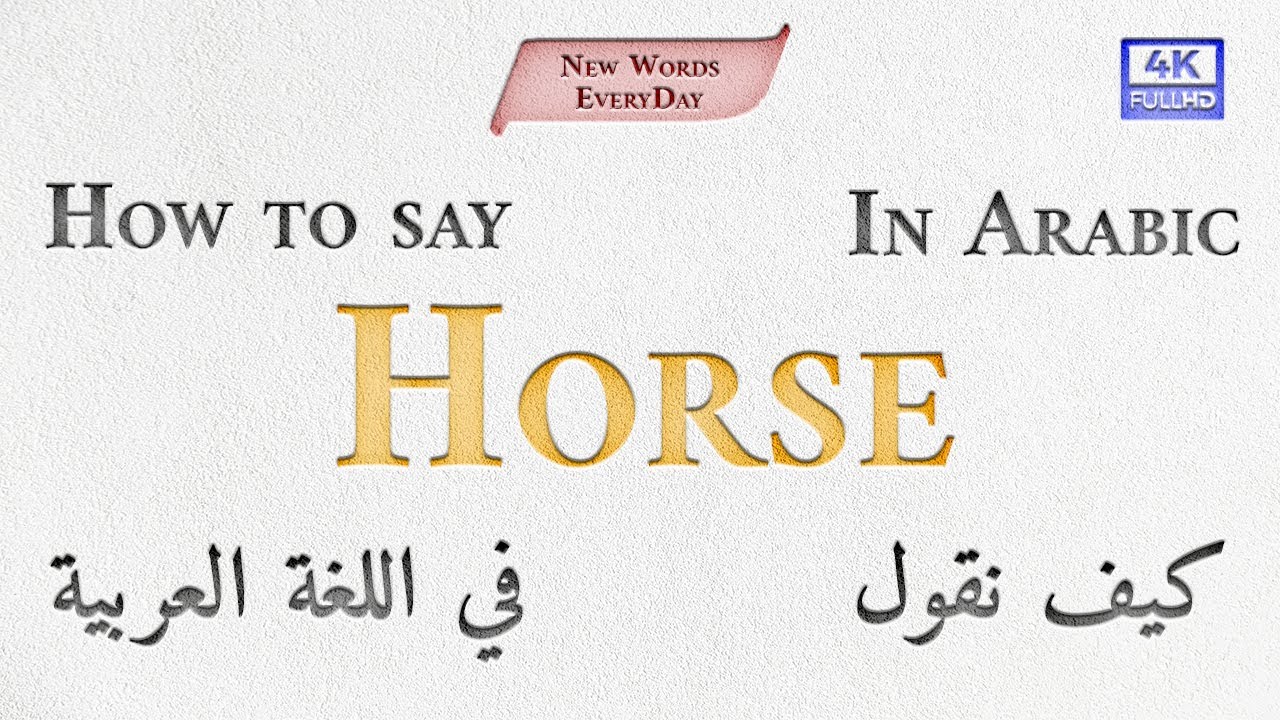How to say Horse in Arabic? YouTube