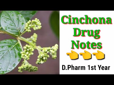 Cinchona drug #pharmacypoints