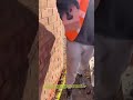 Perfect Brick Alignment Every Time! #bricklaying#masonry #construction