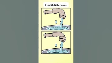 Challenge 299 | Buzz and spot the difference 🐝🔍