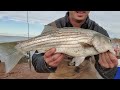 Don&#39;t Miss Out: Capturing the First Striped Bass of the Season in Bay of Fundy