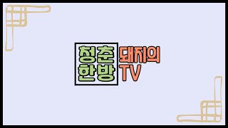 1강 청춘돼지의 사상체질 감별법