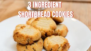 3 Ingredient Short Bread Cookies! How to Make Low Carb Shortbread Cookies Recipe