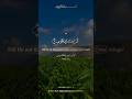 شیخ محمد صدیق المنشاوی رحمة الله سورة الضحی آیه ۶ ۸ 