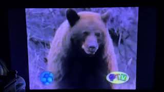 Mister Rogers Neighborhood Fundings On Wtvs Detroit