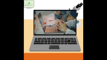 How to Use Zotero in Google Docs (Step-by-Step Tutorial) #shorts #zotero #googledocs #tutorial