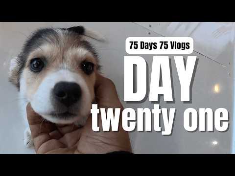 Day 21 of 75 Days 75 Vlogs | What is cringe content, Visiting Dubai Police