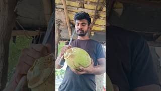100% Original coconut cutting vlog in 5 second #trending #youtubeshorts #vairalvideo #s #coconut