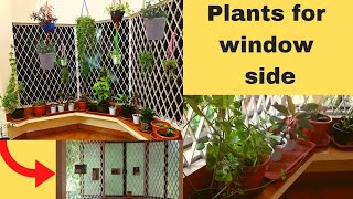 Perfect plants for Window side/How to care indoor plants/Make over window side