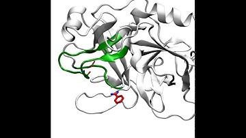 benzamidine/trypsin.mpeg