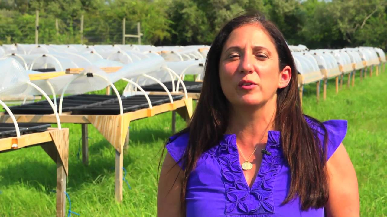 Letting Salt Be Salt Amagansett Sea Salt Co. food.curated YouTube