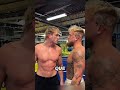 El único hombre que no le tiene miedo a Logan Paul #wwe #luchalibre #wrestling