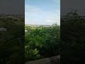 #shortvideo #viralvideo #love #song দূরে ওই পাহাড় মিশেছে নীল আকাশে💚💚💚💚💚
