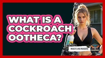 What Is A Cockroach Ootheca? - Insects and Invaders