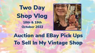 Two Day Vlog - Auction and Ebay Pick Ups To Sell In My Vintage Shop 18th & 19Th Oct 2022 UK Reseller видео