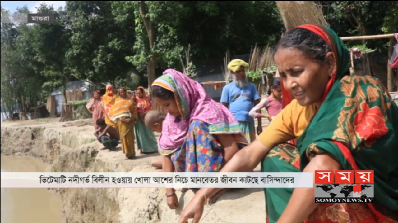 bangla newspaper usa মধুমতি নদীর তীব্র ভাঙন! | খোলা আকাশের নিচে নদী তীরের মানুষ | Magura News Update