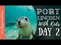 Swimming With Sea Lions | Family Road Trip To Port Lincoln, South Australia