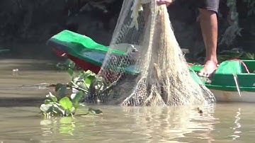 Chài cá gần sà lan dính cá lăng ,Cá chốt một đóng