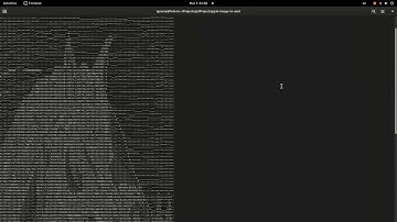 PPM Image to ASCII characters in nCurses & C++