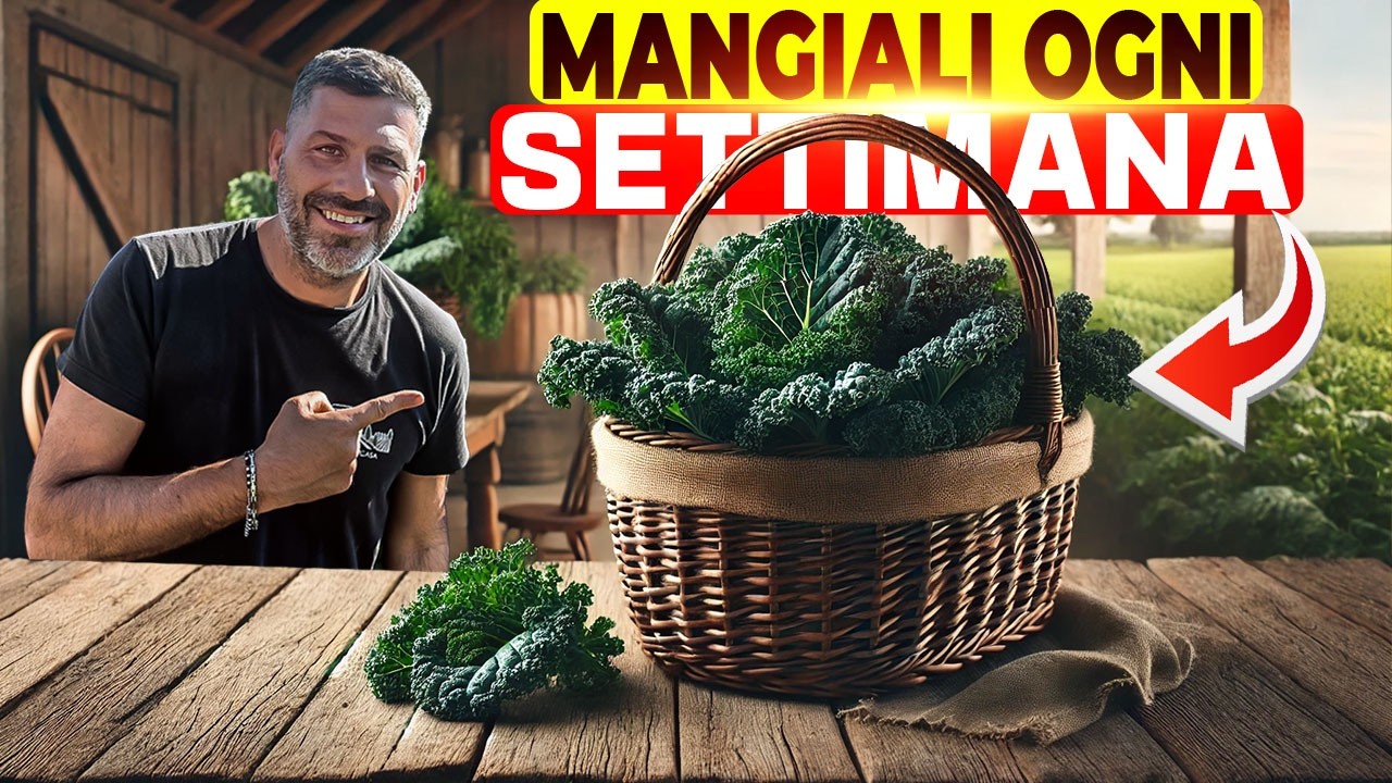 I benefici del Cavolo Nero: 6 cose fondamentali che devi sapere !!!