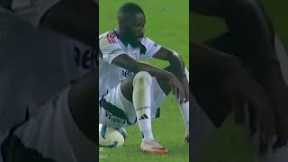 Don Artik Geri̇ye Bee Resimi