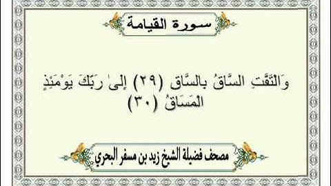 الشيخ زيد البحري  Quran سورة القيامة