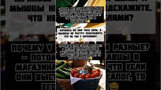 качели коп и сапоги смешные короткие анекдоты