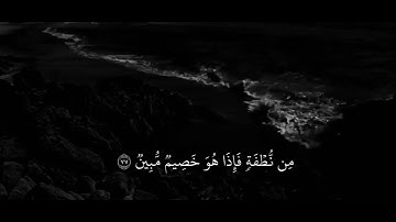ارح مسمعك قليلا |¦القارئ شريف مصطفى |¦﴿فَلا يَحزُنكَ قَولُهُم