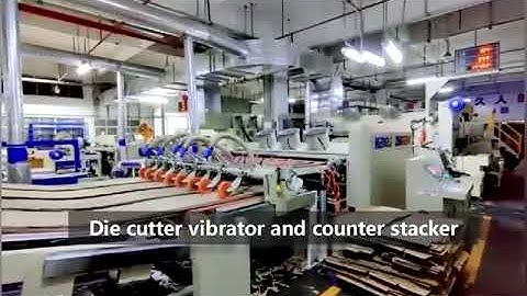 5 Color Flexo Printer Hard Die Cutter Vibrator Counter Stacker inline with Robert Palletizer